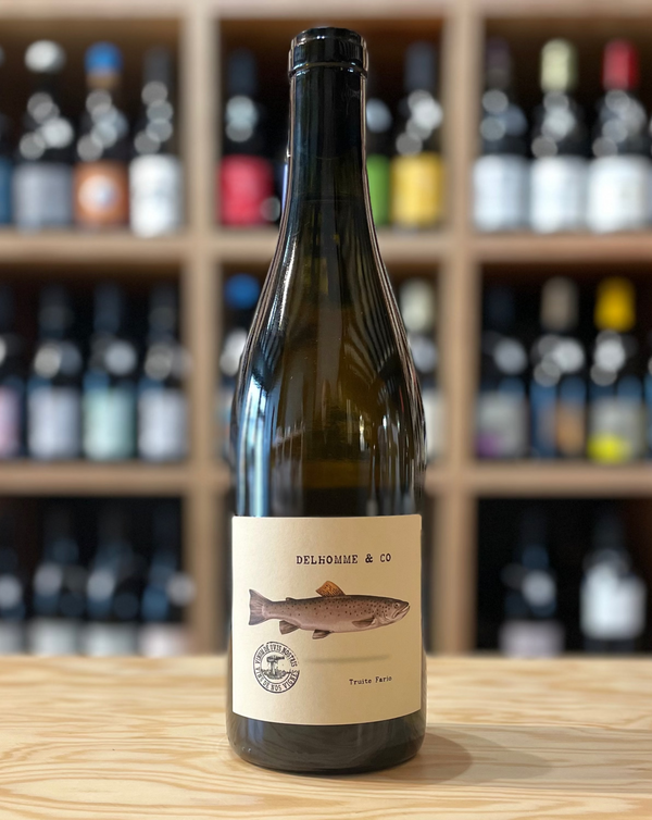 Vignes de la Justice - Delhomme & Co - 2022