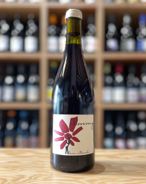 Cheverny - Hervé Villemade - 2024