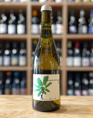 Cheverny - Hervé Villemade - 2024