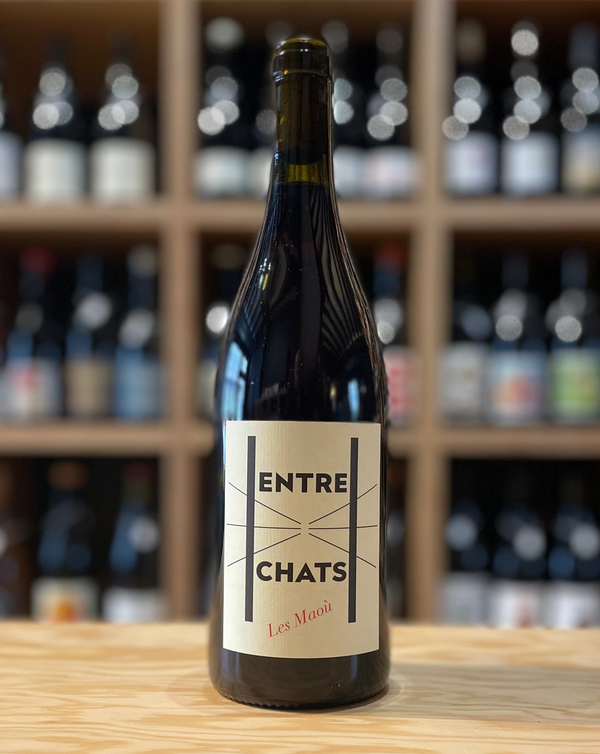 Entre Chats - Les Maoù - 2024